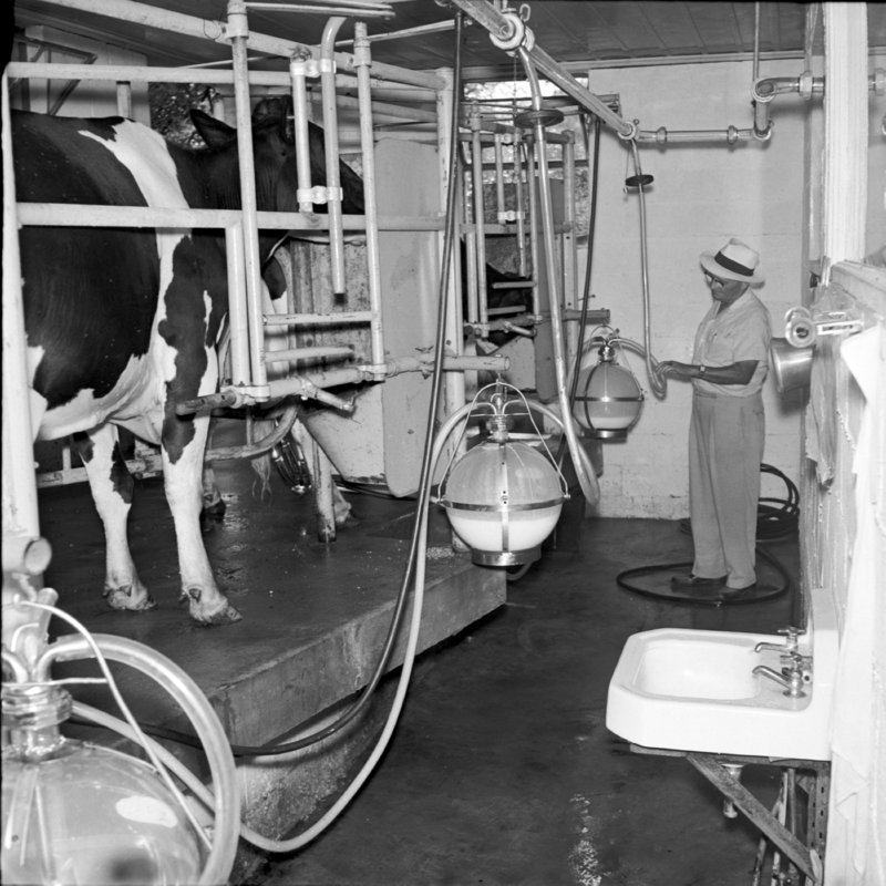 032_past inspection globes... (1958).jpg